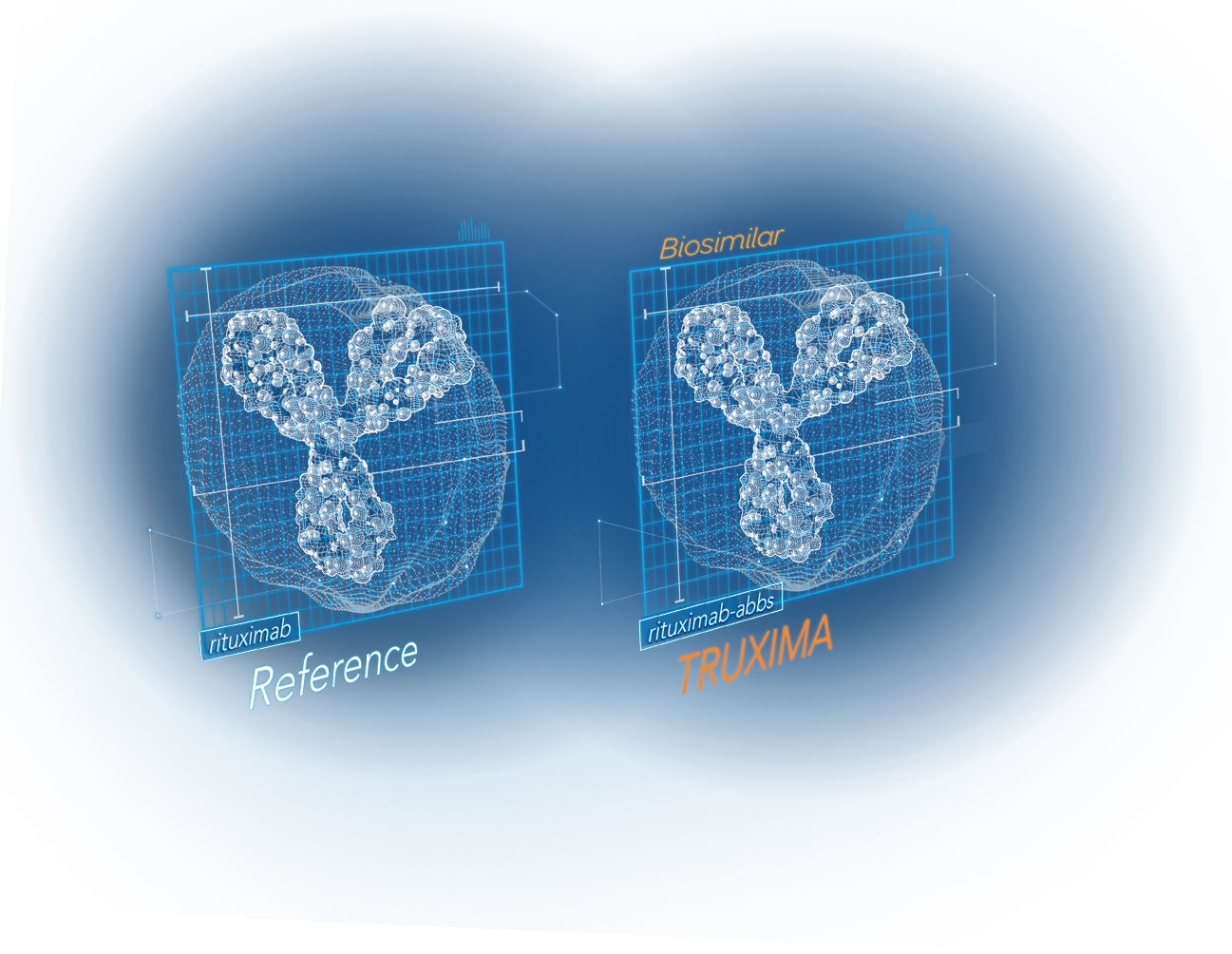 3-D monoclonal antibodies showing biosimilarity between reference product and TRUXIMA